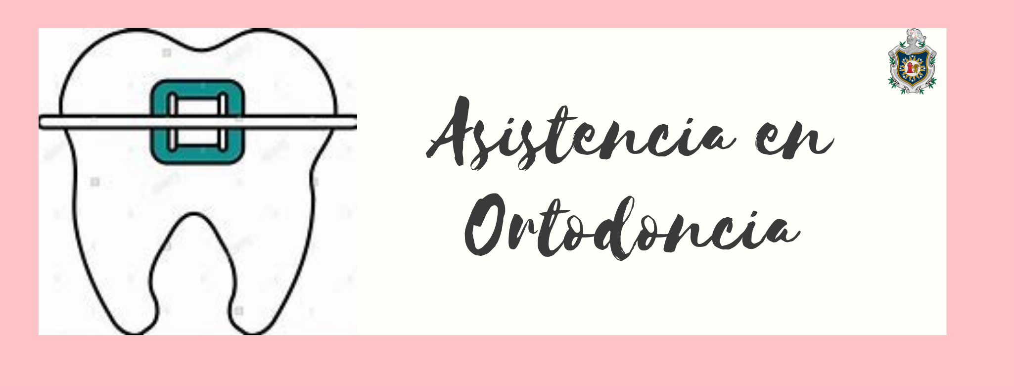 Asistencia en Ortodoncia