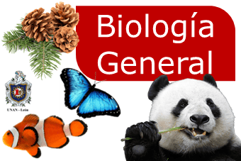 Biologia General G127